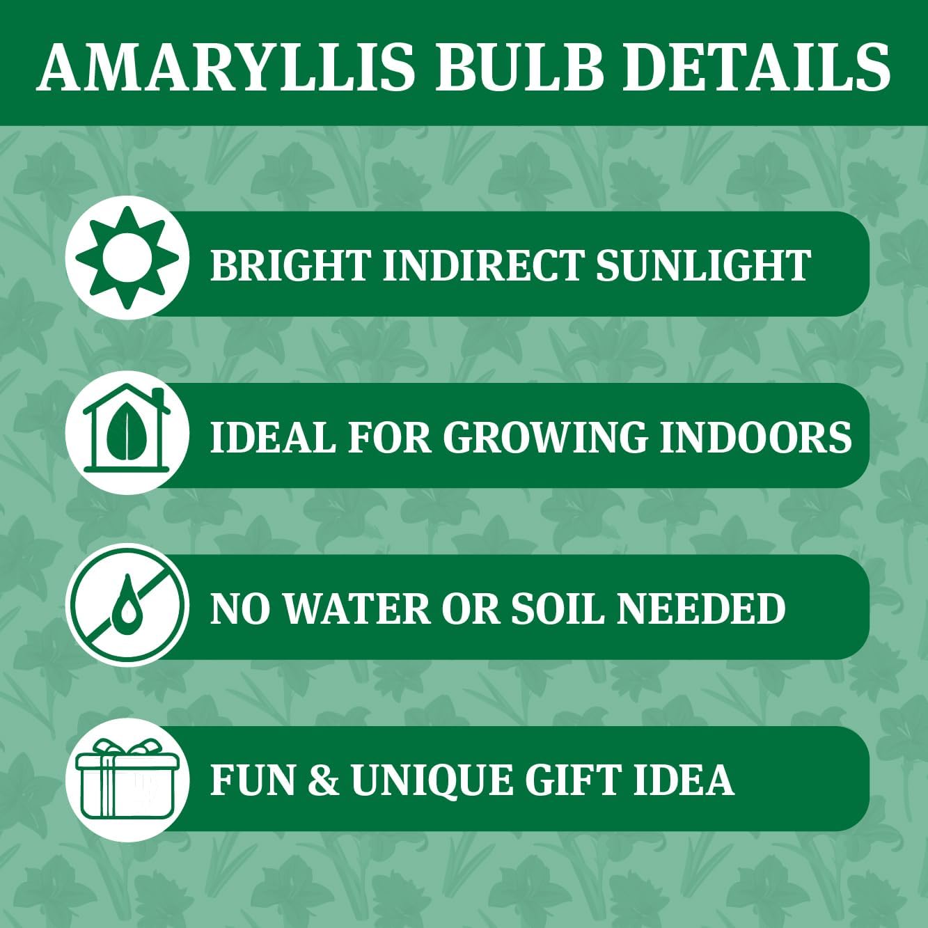 Green Base Waxed Amaryllis Flower Bulb with Stand, No Water Needed