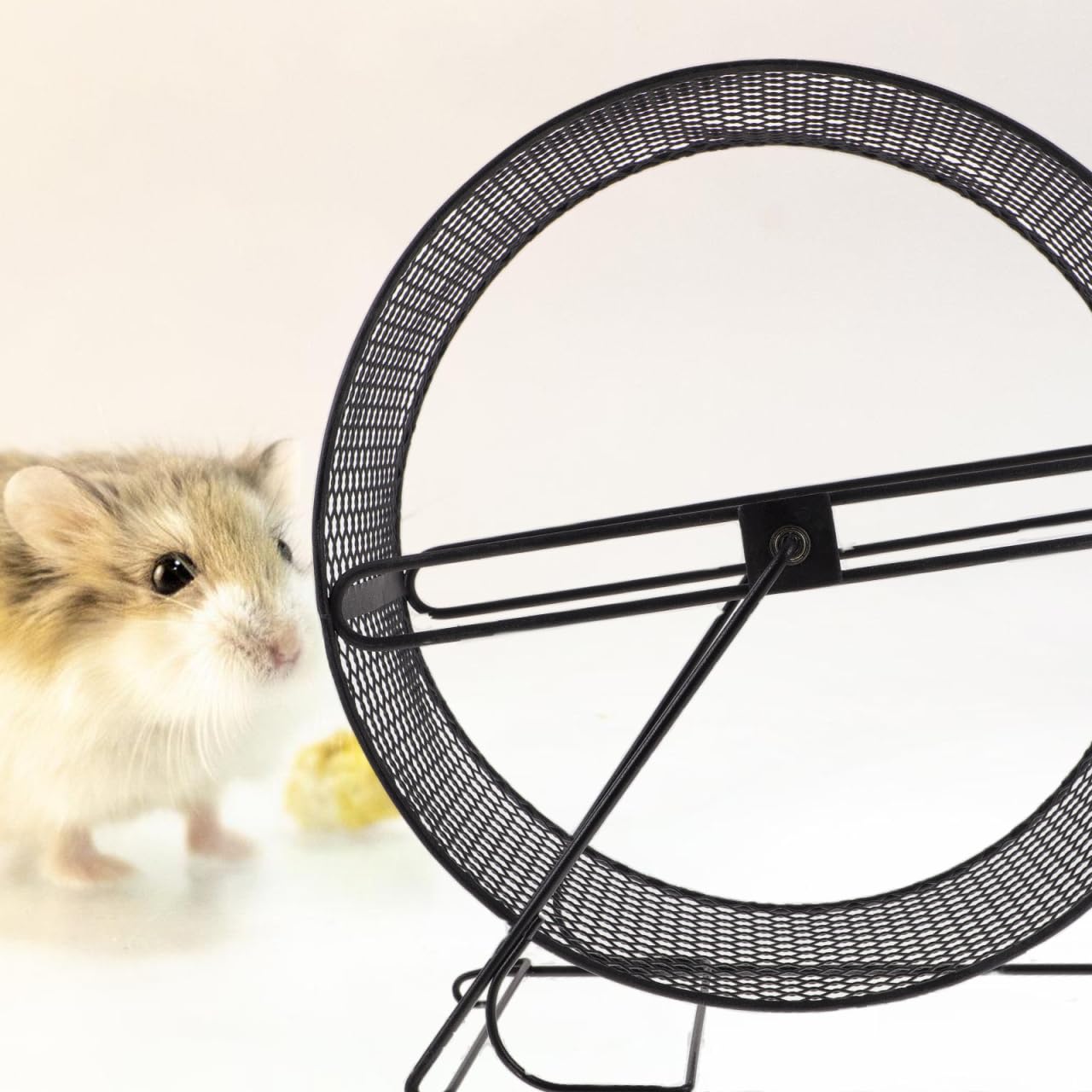 Mikikit Roue d'exercice silencieuse pour hamster avec support 28 x 26 x 15 cm en métal pour hamsters, hérissons, écureuils, cochons d'Inde, cage d'intérieur