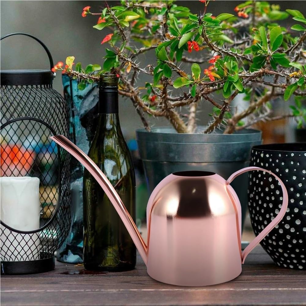 Stainless Steel Watering Can Lightweight Nozzle Type Small Watering Can Stainless Steel Garden Plant Sprinkler Outdoor Watering Can Indoor And Outdoor Plant Watering Tool For Garden And Plant Watering