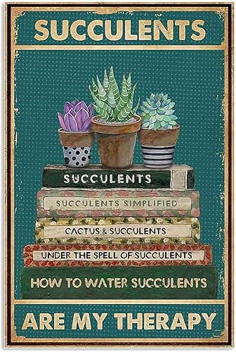 Libros y plantas en maceta kits de pintura de diamantes arte vintage 5D para principiantes kits de punto de cruz de diamante redondo para decoración