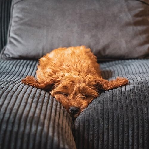 Miniatura 6 de Puf (sin relleno), funda para puf, almacenamiento de animales de peluche para adultos, niños, adolescentes, puf grande para color rosa