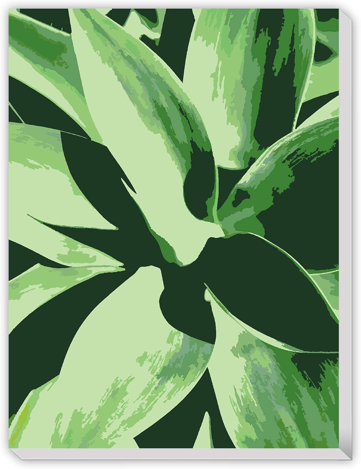Texture of Dreams Tropical Leaves Succulent Paint by
