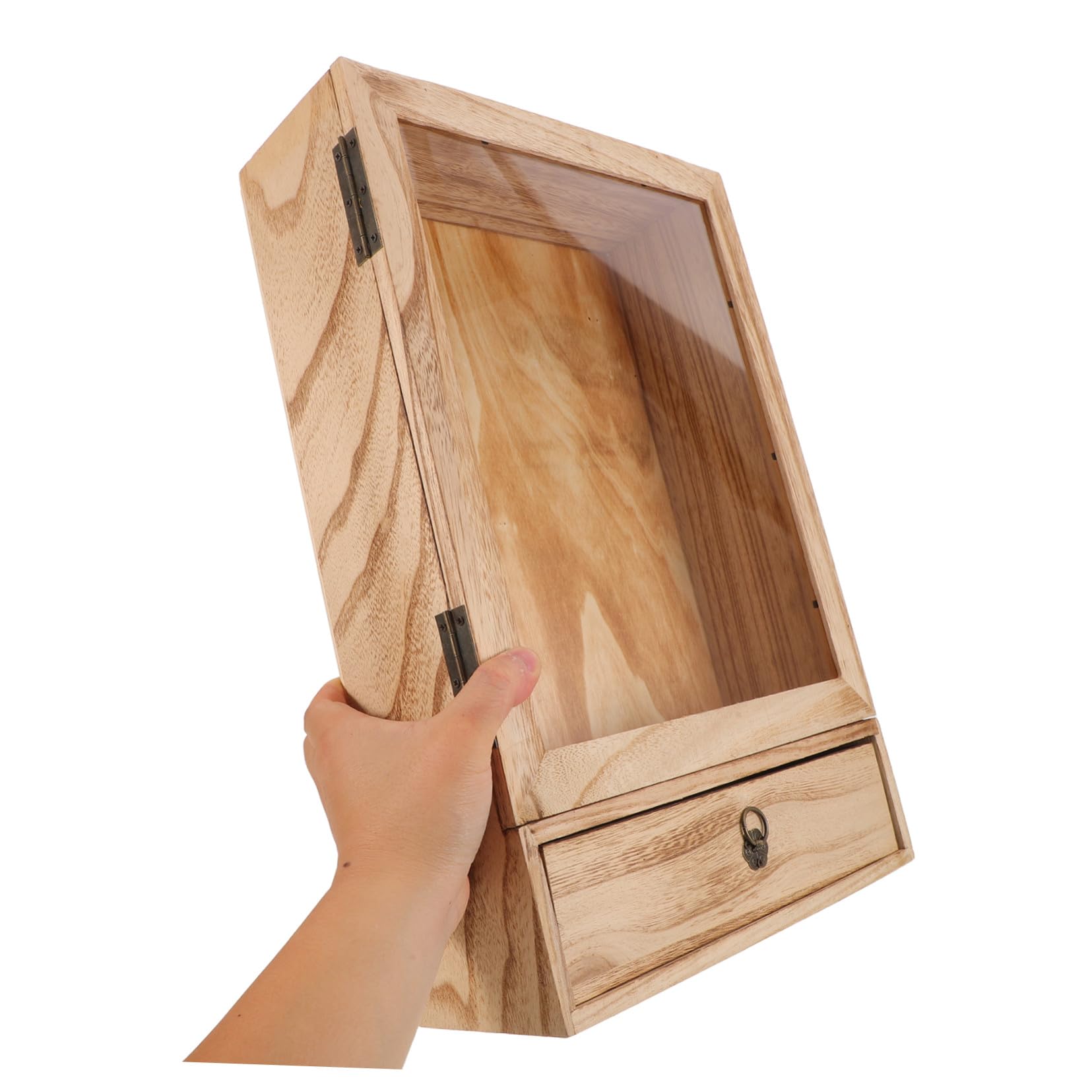 TOPBATHY Caja de Muestras de Insectos de Madera Maciza, Marco Vertical