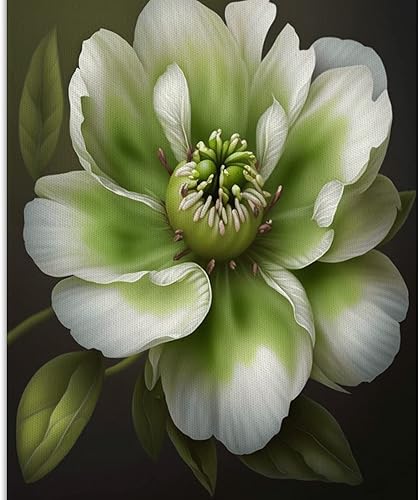 Lienzo decorativo para pared, diseño floral, para sala de estar, baño, abstracto, moderno, verde ciruela, grandes pósteres impresos, imágenes para disponible en Yaxa Colombia