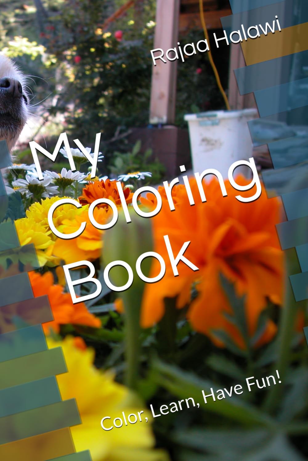 My Coloring Book: Color, Learn, Have Fun!