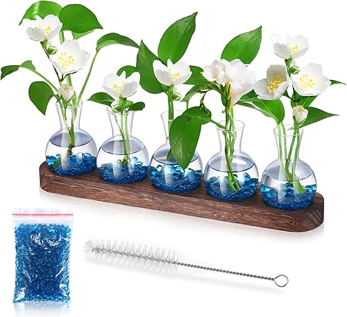 Plantas de terrario con soporte de madera, estación de propagación de plantas con piedra y cepillo, estaciones de propagación, fácil de limpiar,