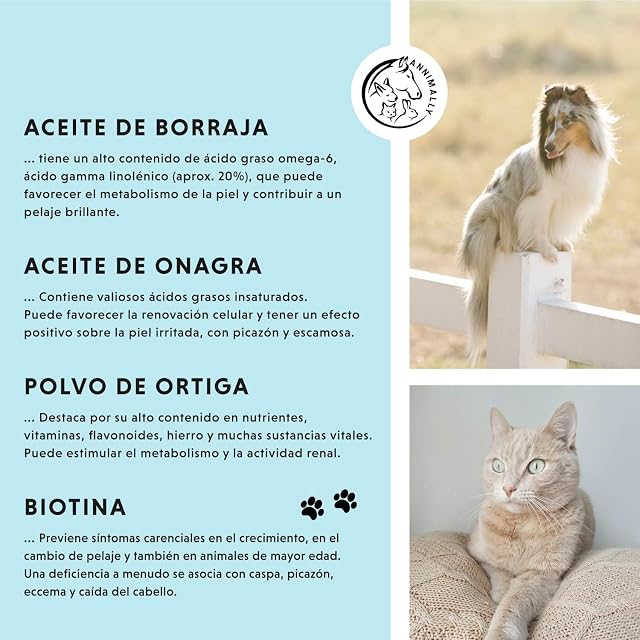 Foto 4 de 7 de Polvo Piel & Pelaje de Perros y Gatos