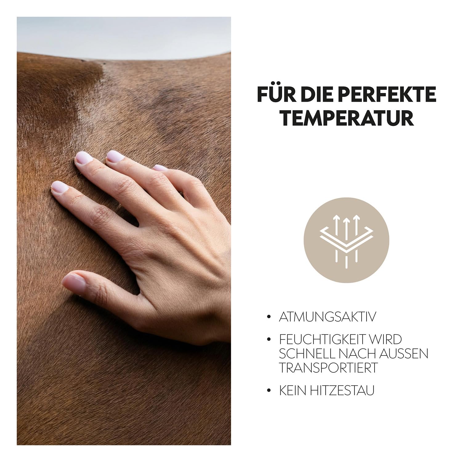 Sunride Fliegenhaube RD - Dämpft Umgebungsgeräusche, Schützt Vor Insekten, Pflegeleicht (Cob, Schwarz/Gold