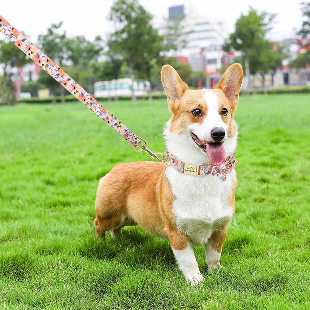 Set Di Collare E Guinzaglio Identificativo Per Cani Stampato In Nylon Resistente Set Di Collare E Guinzaglio Per Cani Regolabili Con Incisione Personalizzata Set Di Collare E Guinzaglio Per