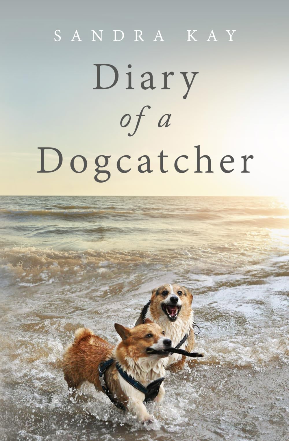 Diary of a Dogcatcher: A Memoir