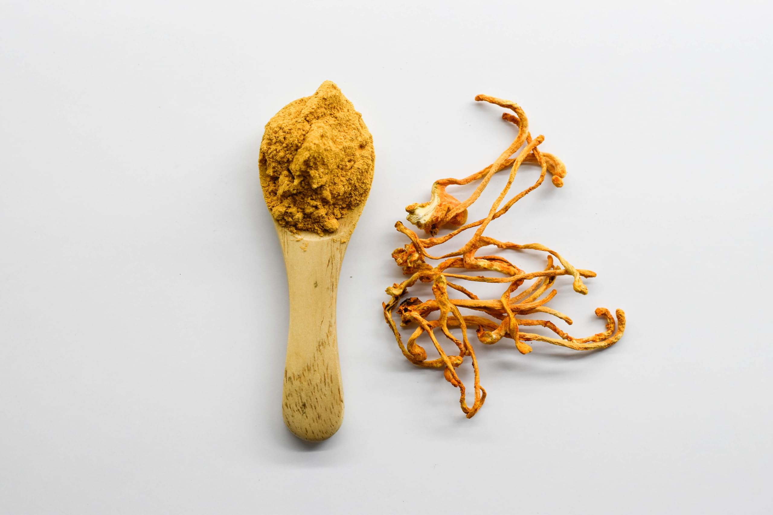 Terrasoul Superfoods Organic Cordyceps, 5.5oz | Adaptogenic Superfood, USDA Certified Organic, Gluten-Free, Vegan — Amazon image 2