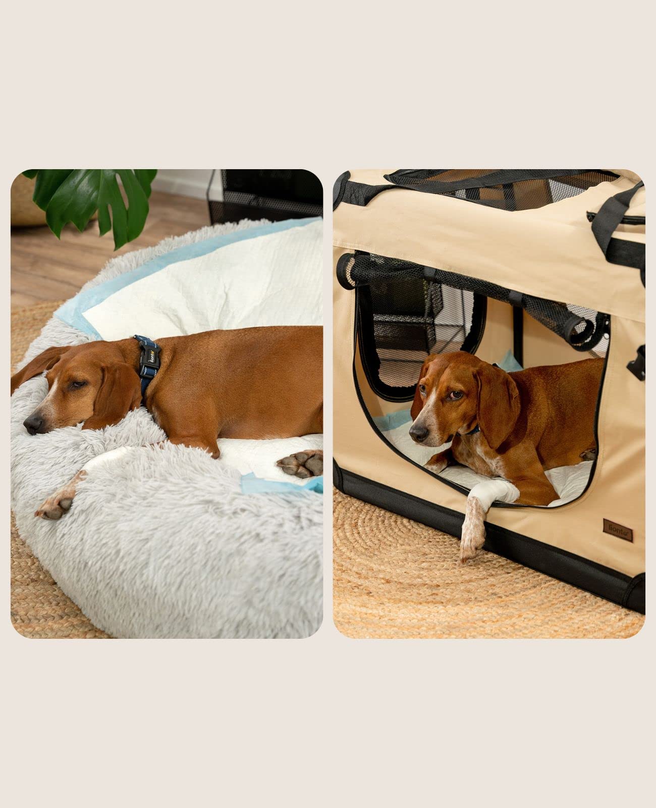 lionto Alfombrilla de Entrenamiento para Cachorros, 6 Capas con Tiras Adhesivas, 100 Unidades 60x90 cm, a Prueba de Fugas y Alta Capacidad de absorción para Animales Enfermos e incontinentes, Azul