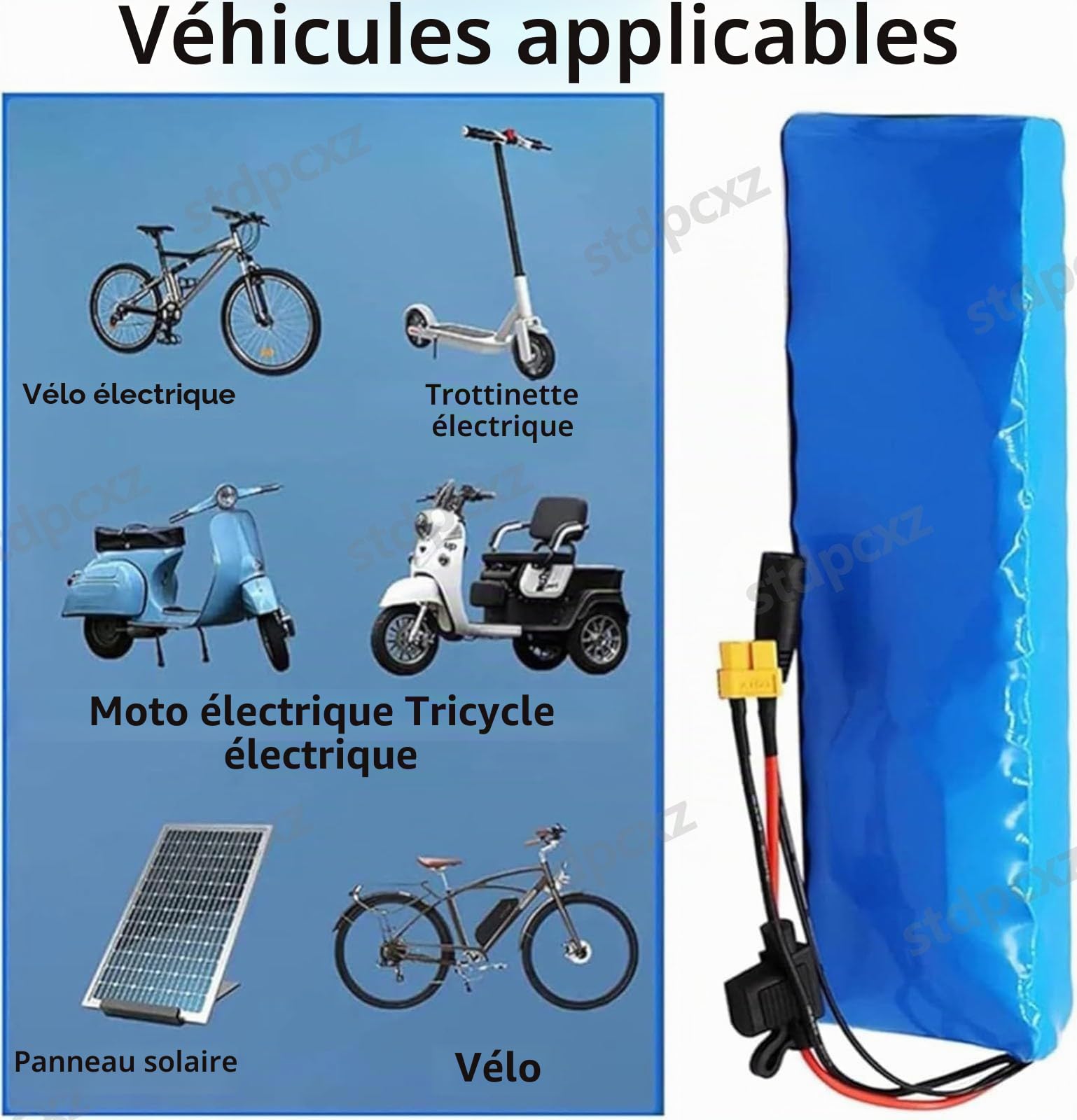 Batterie De Vélo Électrique 24V 10Ah 13Ah 15Ah 20Ah Batterie Li-ION Batterie De Vélo Électrique pour Scooter Électrique Vélo Électrique pour Moteur 250W 150W 50W