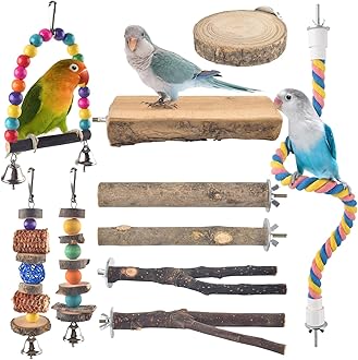 Bissap 10 PCS Bird Chew Toys, Parakeet Natural Wood Parrot Hanging Cage Toy Swing Rope Paw Fork Perch Stand Platform for Small Birds Conure Cockatiel Parrotlet Lovebird Budgie Exercise Training