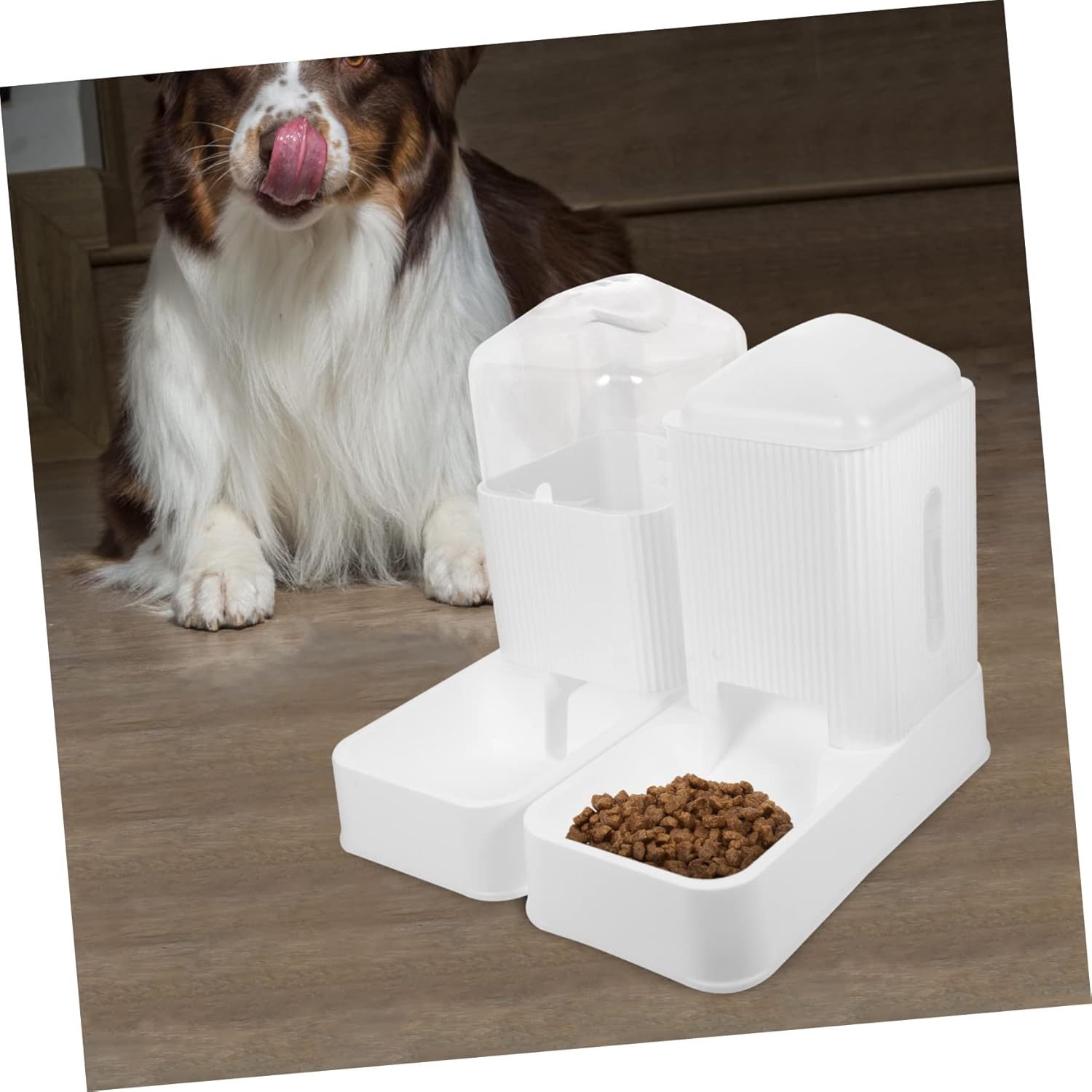 BESPORTBLE 1set Automatic Feeder Dispenser Detachable Pet Food and Water Station Lightweight and Design for Convenient Feeding and Hydration