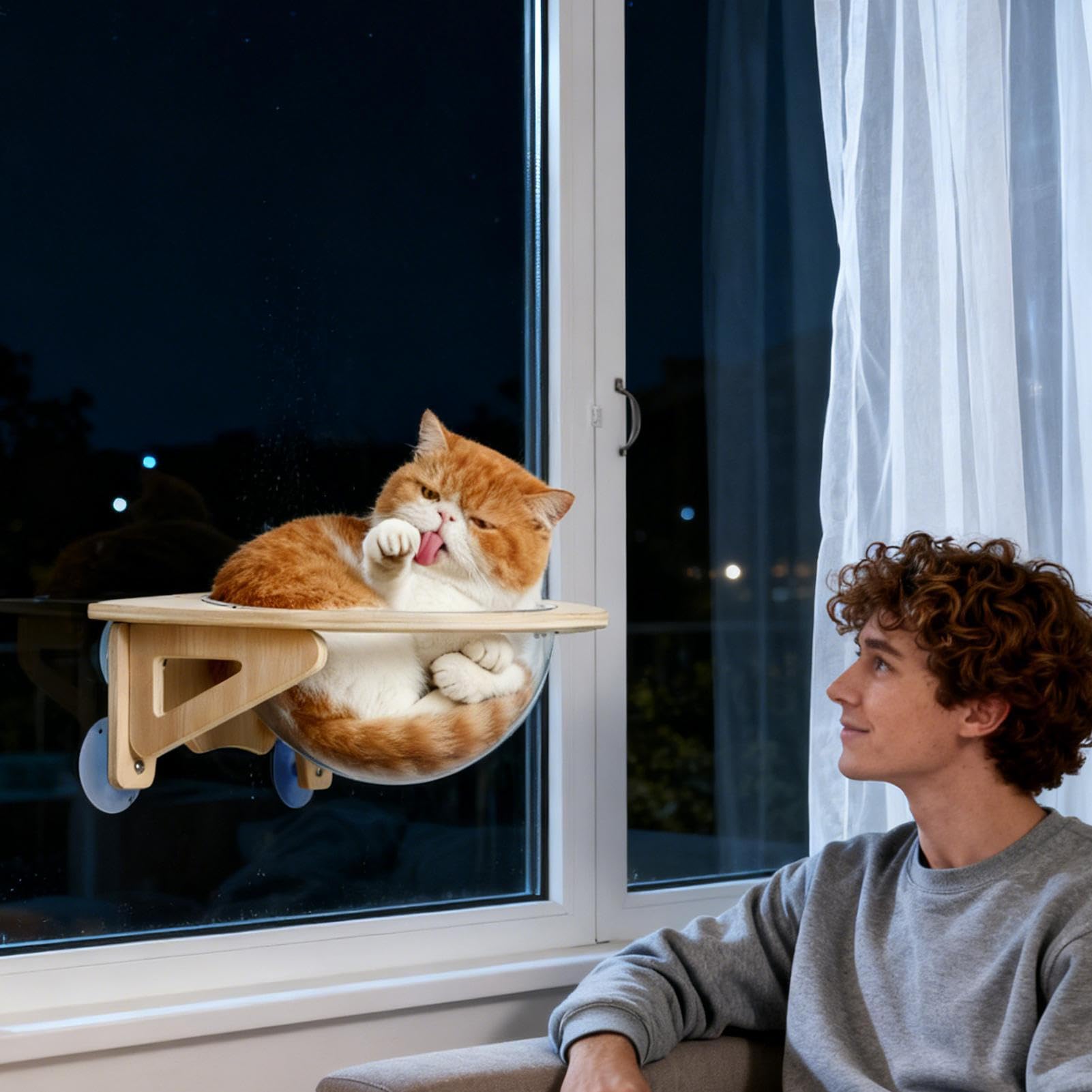 Ścienne Meble Dla Kotów Przezroczysta Przyssawkowa Kopuła Okienna | Legowisko Dla Kota Na Parapet Do Salonu Mieszkania Kuchni Biura Kat