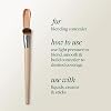 Set de 5 Pinceles de Maquillaje EcoTools Everyday Edit con Esponja de Polvo, para Retoques Fáciles en Cualquier Lugar, con Brocha de Correctores, Vegano y Libre de Crueldad 7