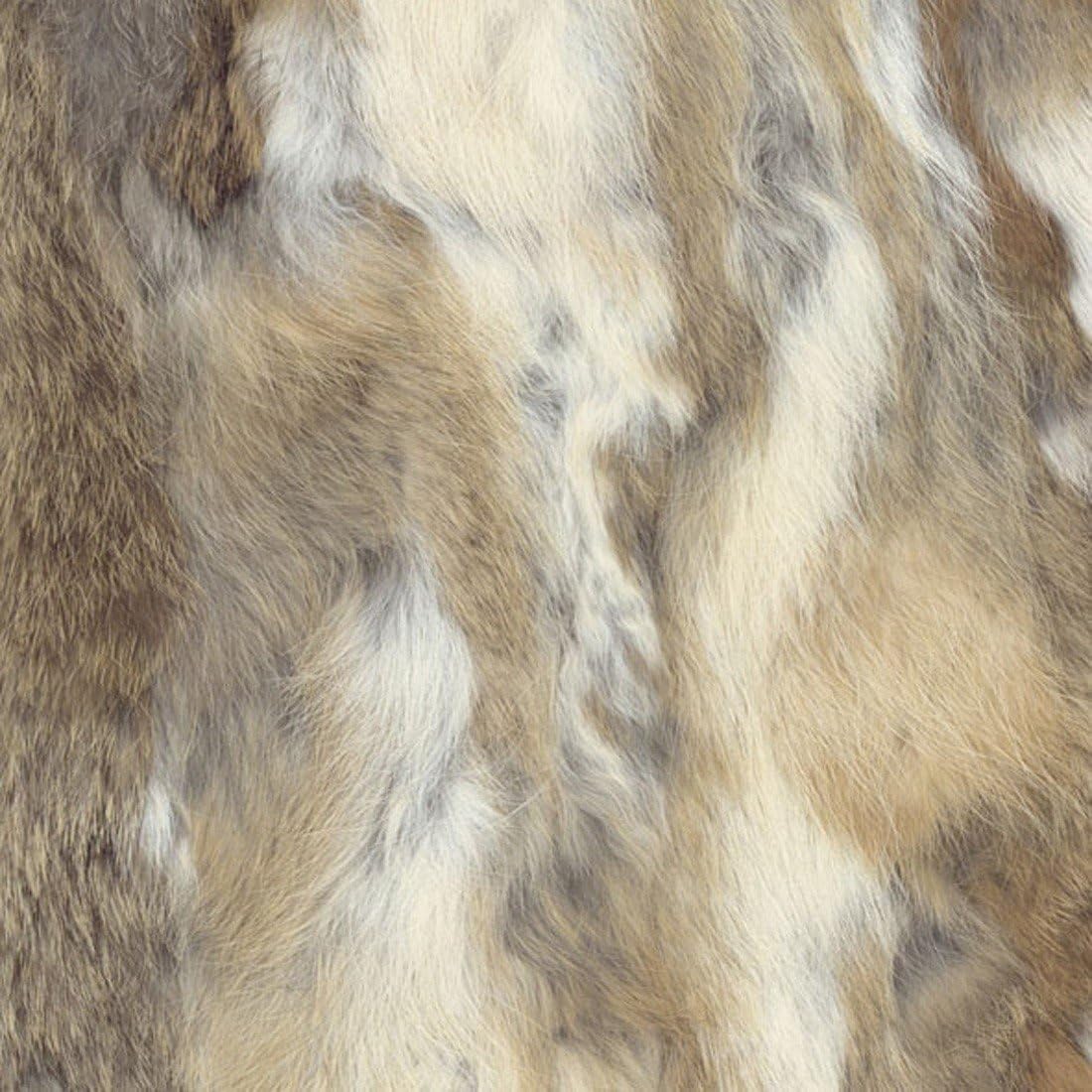 Ideal Home Range 20-Count 3-Ply Paper Cocktail Napkins, Taste of White Wine