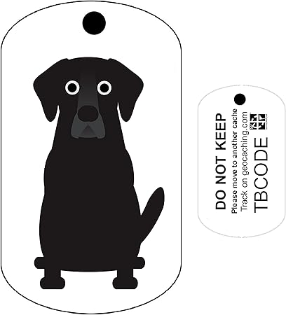 trackable dog tag
