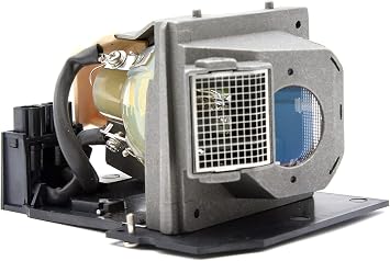 Lamp OEM BL-FS300B Original Bulb and Generic Housing for Optoma EP1080, EP910, H81, HD7200, HD80, HD8000, HD8000-LV HD800X HD803 HD806 HD81 HD81-LV HD930 HD980 HT1080 HT1200
