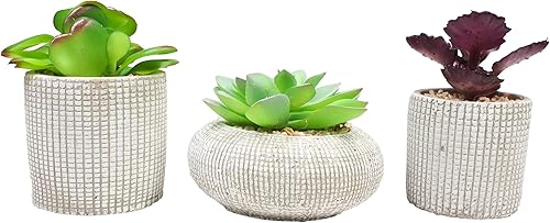 Ebros Gift Juego de 3 plantas suculentas botánicas artificiales realistas de tamaños y formas escalonadas en macetas texturizadas con patrón,
