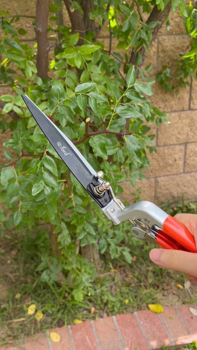How to use QY-741F safety Latch on Amazon Live