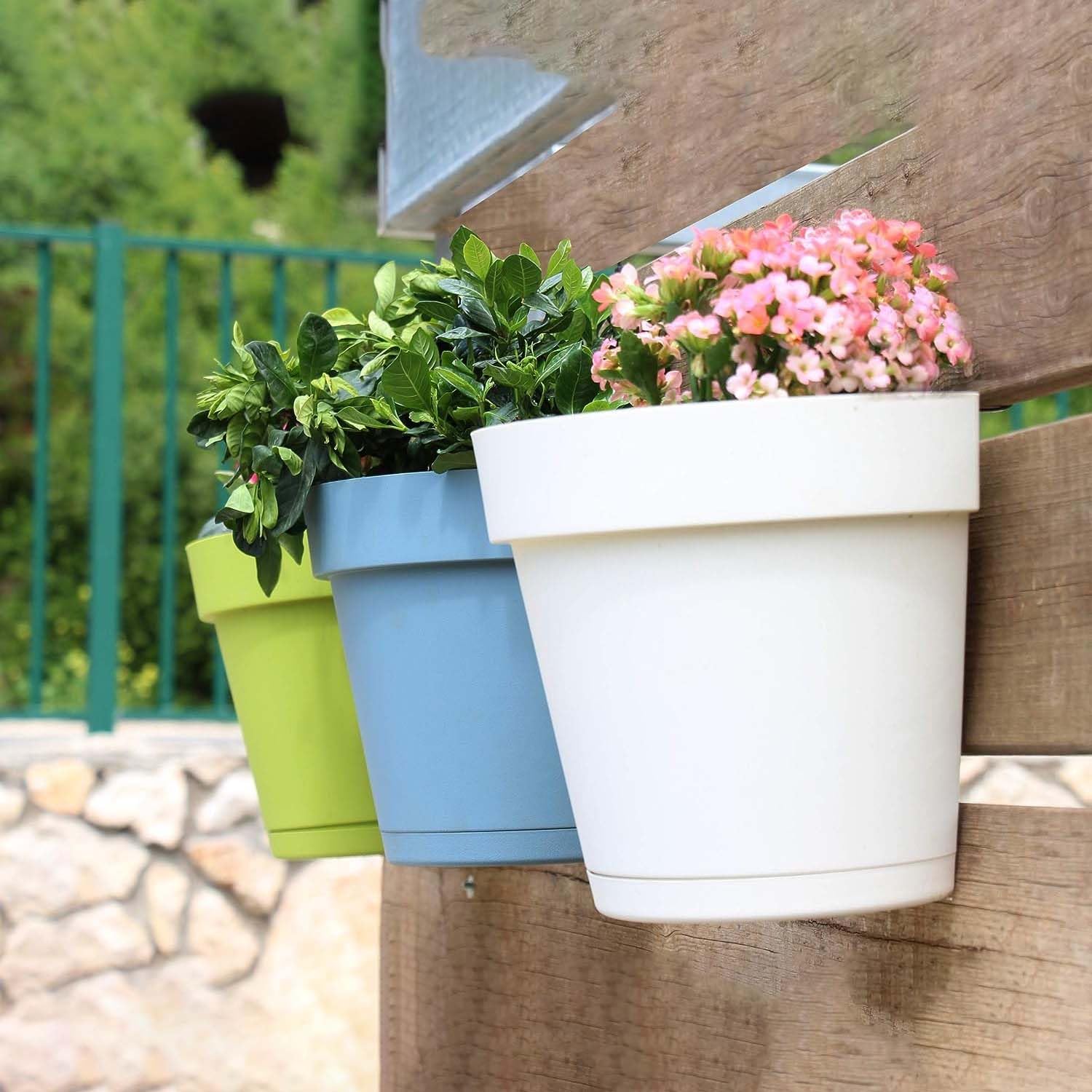 Go Hooked Wall Planters - 5 Pack for Vertical Gardens -10 Go Hooked Wall Planters - 5 Pack for Vertical Gardens -10