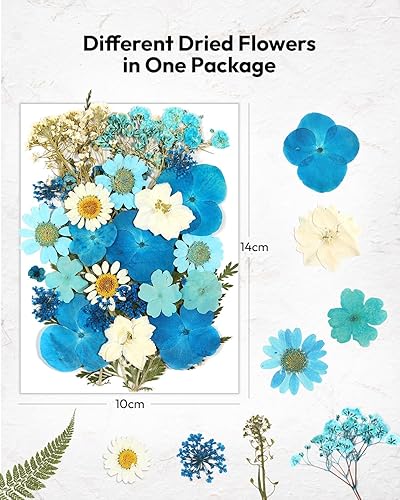 Vista 170 de Resiners - Flores secas, 100 piezas de flores prensadas para manualidades, color amarillo, flores secas naturales, kit de hojas secas
