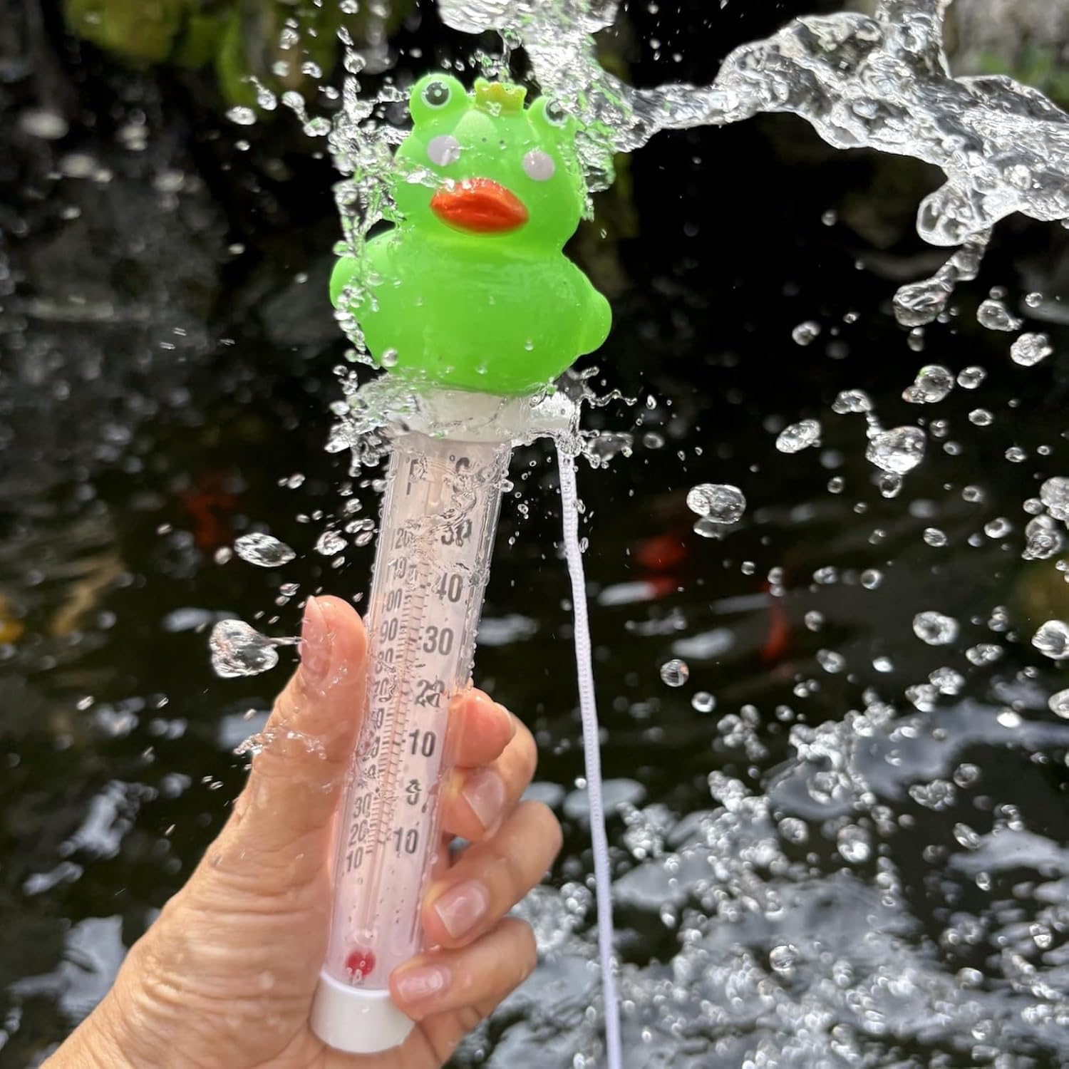 Floating Pool Thermometer,Frog Duck Water Temperature Thermometer for Ice Bath with String,Easy Read for Swimming Pool,Spas,Hot Tubs,Pond