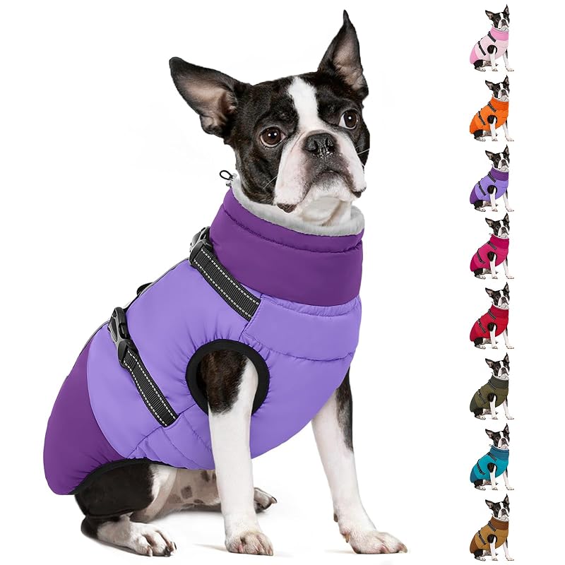 Casaco para Cães com Peitoral Integrado, Gola Alta e Detalhes Refletivos SUNFURA Roxo Small