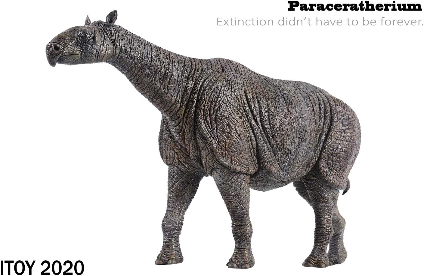 ギフ 包装 Itoy 1 35 サイズ パラケラテリウム サイ 哺乳類 絶滅 動物 リアル フィギュア Pvc プラモデル スタチュー 大人 おもちゃ 科学 芸術 模型 プレゼント38cm 創作 オリジナル タイプ 台座なし Www Oroagri Eu