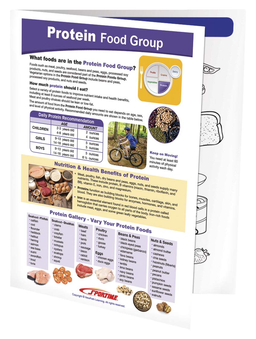 Protein Food Group Visual Learning Guide, Grades 59 Amazon.in Office Products
