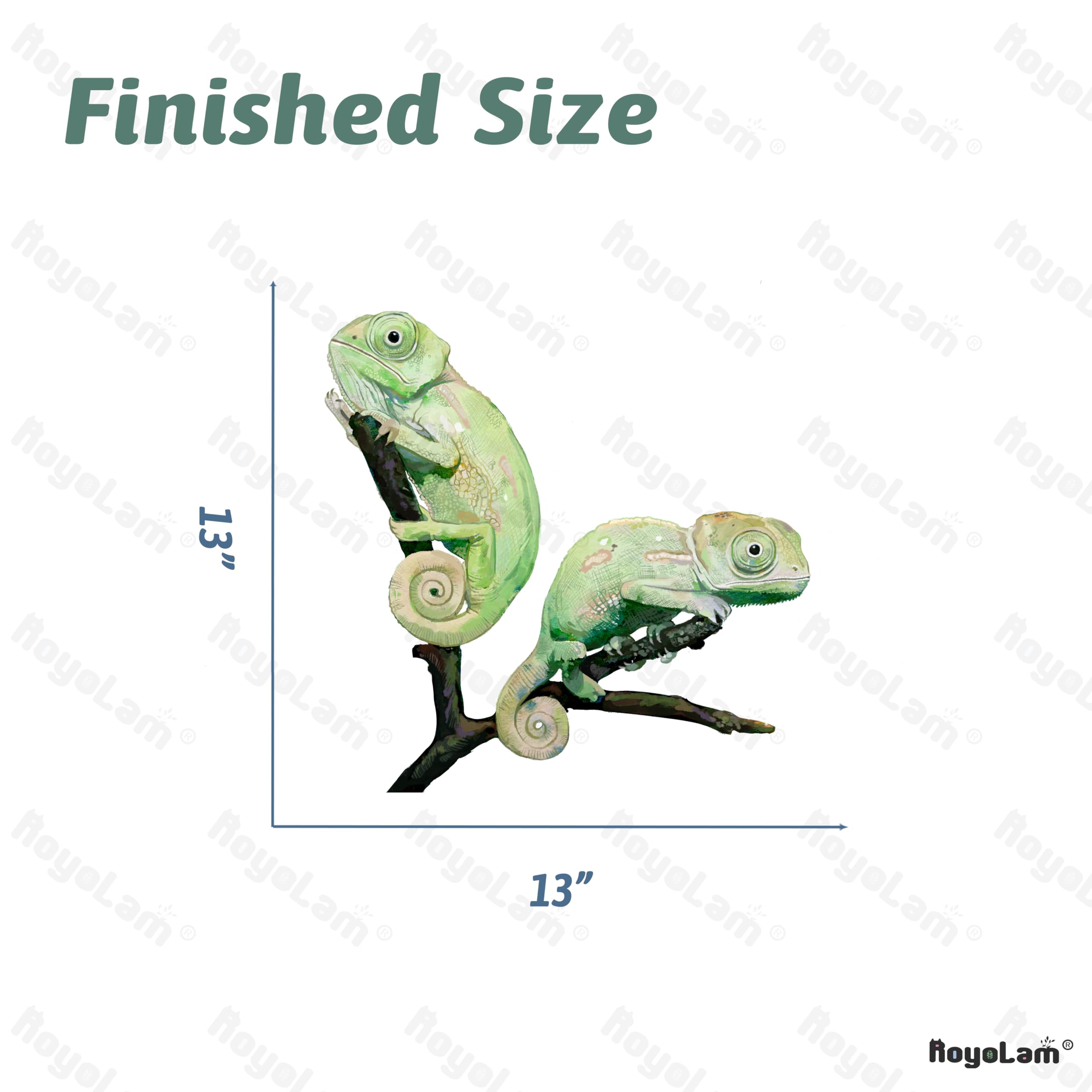 RoyoLam Chameleon Wall Decals - Removable Nursery Animal Stickers, 13" X 13", Waterproof Peel & Stick Kids Room Decor