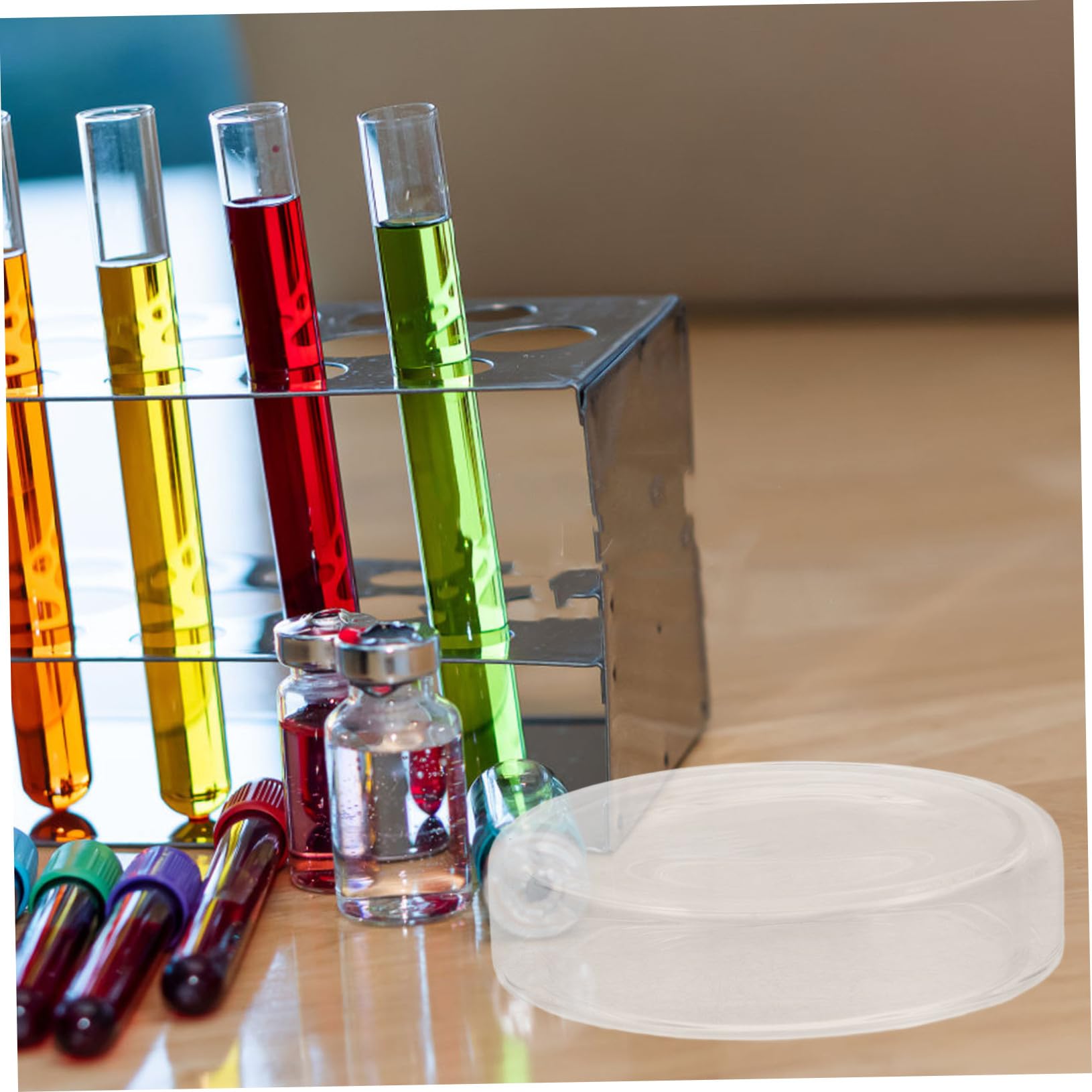 6pezzi Piastra di Petri in Vetro Trasparente per Colture Cellulari con Coperchio Resistente alle Alte Temperature Riutilizzabile per Laboratorio e Chimica