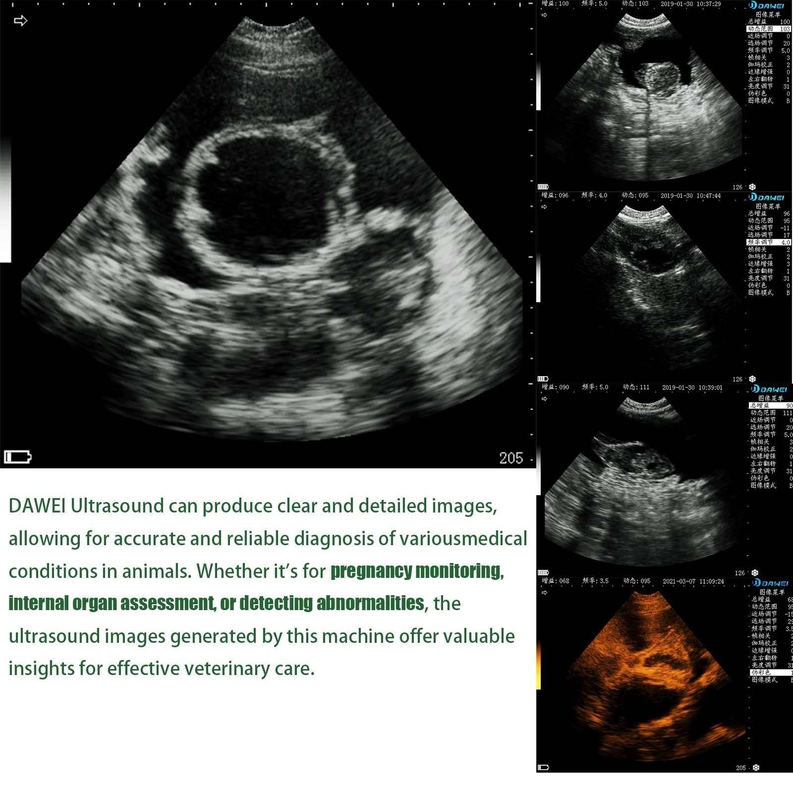 Échographe Vétérinaire, Échographe Manuel, Avec Sonde 3,5 MHz, Échographe B, Écran LCD 5,6 Pouces, Pour Le Contrôle De Gestation Chez Les Bovins, Ovins, Caprins Et Porcin(Machine+convex array probe)