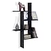 Danya B. XF160708BK Decorative Modern Sturdy Cantilever Floating Wall Mount Shelving Unit - Black