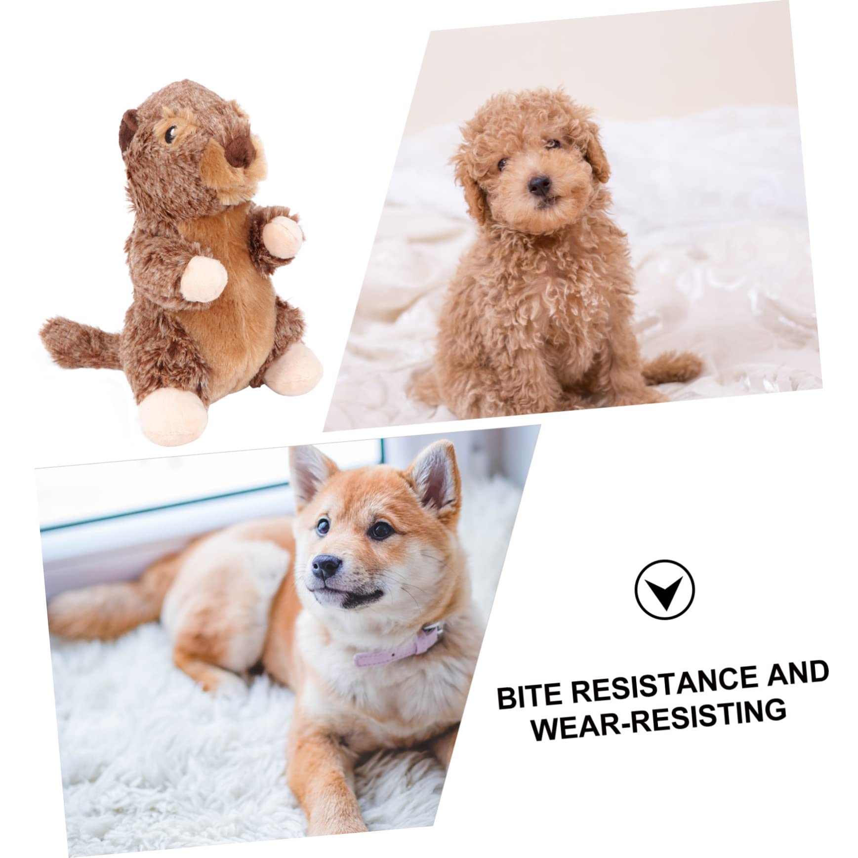 FRCOLOR 3stücke Langlebiges Plüschspielzeug Für Hunde Und Katzen Kauspielzeug Zur Zahnreinigung Mit Quietschfunktion Für Welpen Und Kleine Tiere Strapazierfähig Und Sicher Für