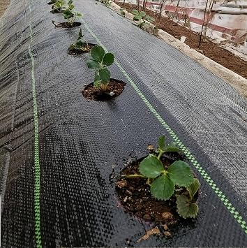 (100 Metre) Yer Sergenliği JUT En: 75 cm Malç Sera taban Gölge Sergenlik Örtüsü Yabani Ot Engelleme