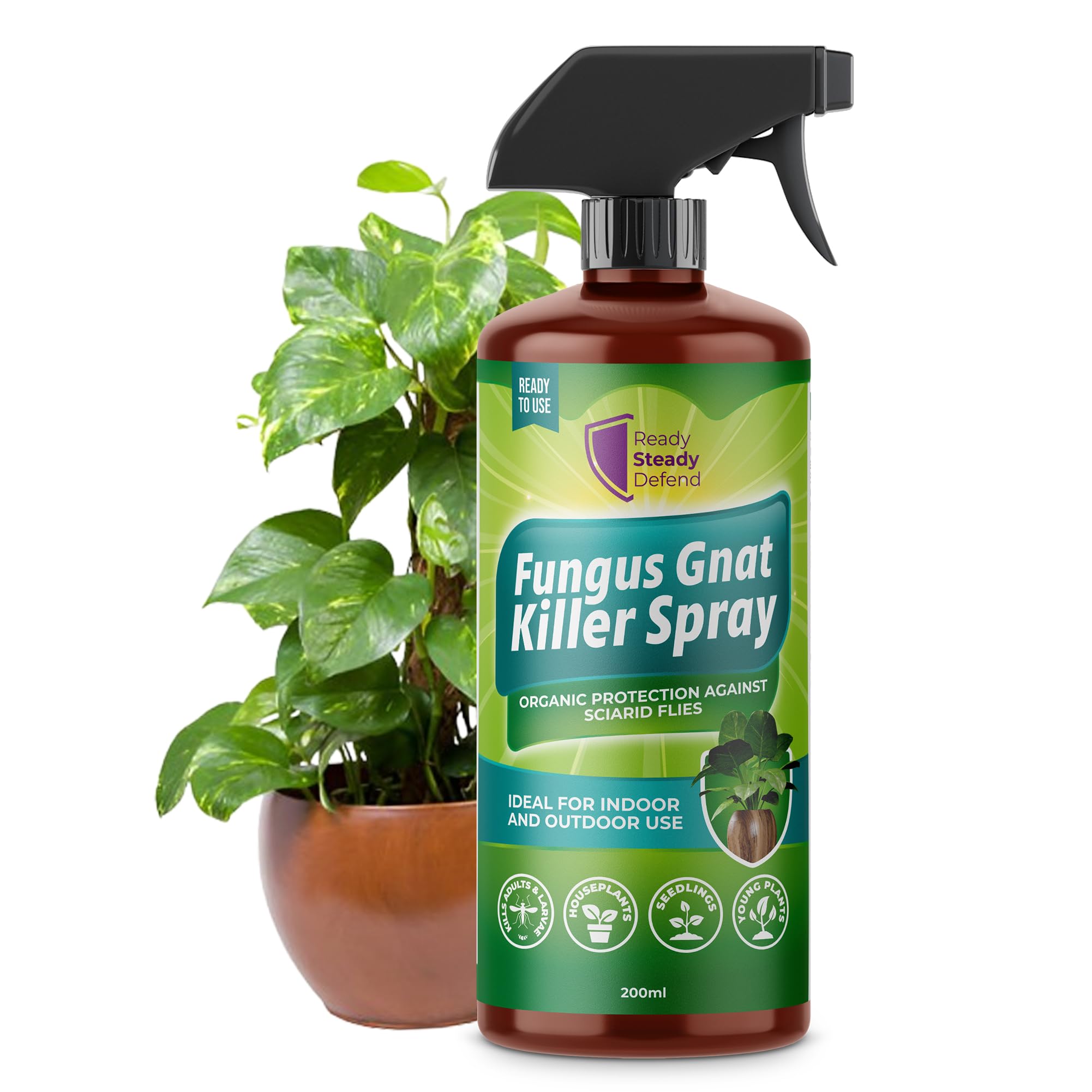Fungus Gnat Killer Spray 200ml for Houseplants Seedlings and Young Plants Organic Insecticidal Soap Formula Targets Sciarid Flies Larvae and Adults for Indoor and Outdoor Soil Treatment Use