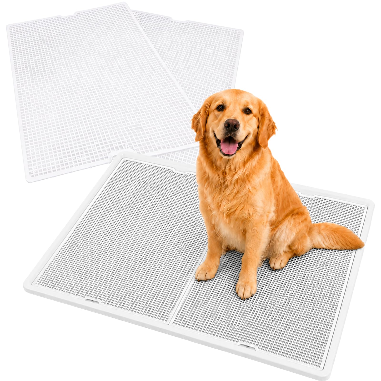 Amazon | Dog Life 犬 トイレ トレー スーパーワイド 大型犬 特大 1020