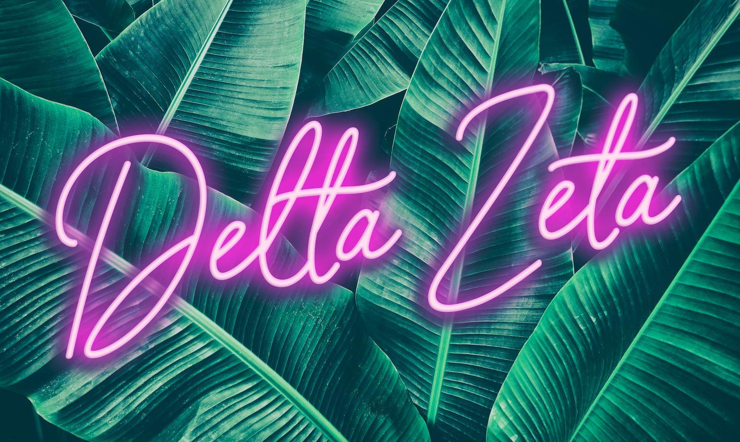 Delta Zeta - Sorority Letter Flag (Neon Design)