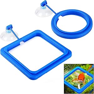 Futterring Fisch Fütterung Ring Aquarium Fütterungsring Fischfutter