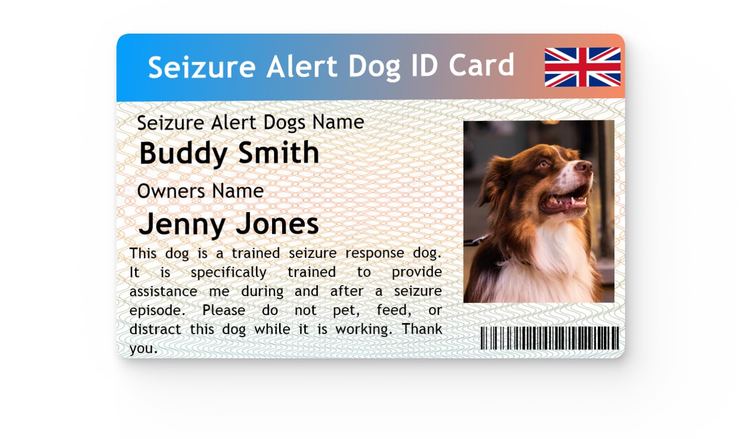 Seizure Alert Dog ID Card - Essential Safety ID for People with Epilepsy - 2010 Equality Act Compliant - Includes Owner's and Dog's Name and Photo