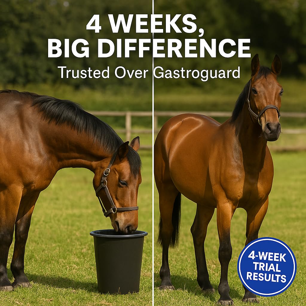 Freestep GastroFree, Black, 1kg | 2 Horse Supply - Image 3