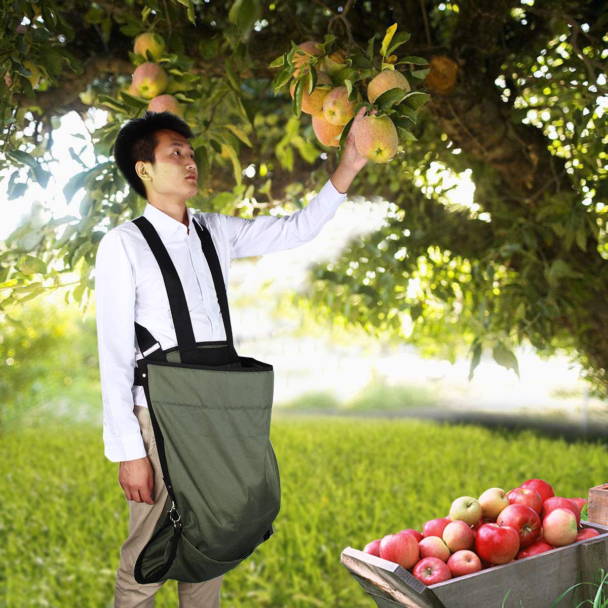 raccolto grembiule da giardinaggio frutta Picking bag