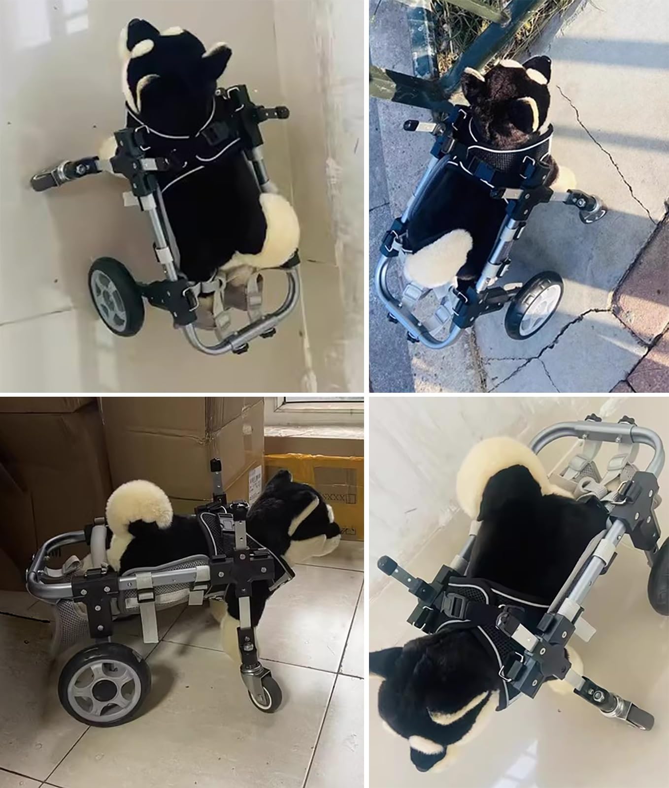 Generico Sedia a rotelle per Cani, Supporto Completo, 4 Ruote, Carrello per Cani disabili, Aiuto Mobilità per Camminare ed Esercizi Gambe