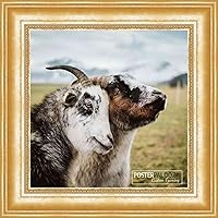 Vista 14 de Poster Palooza 15x17 Traditional Gold Complete Wood Picture Frame with UV Acrylic Plexiglass, Foam Board Backing & Hardware Included