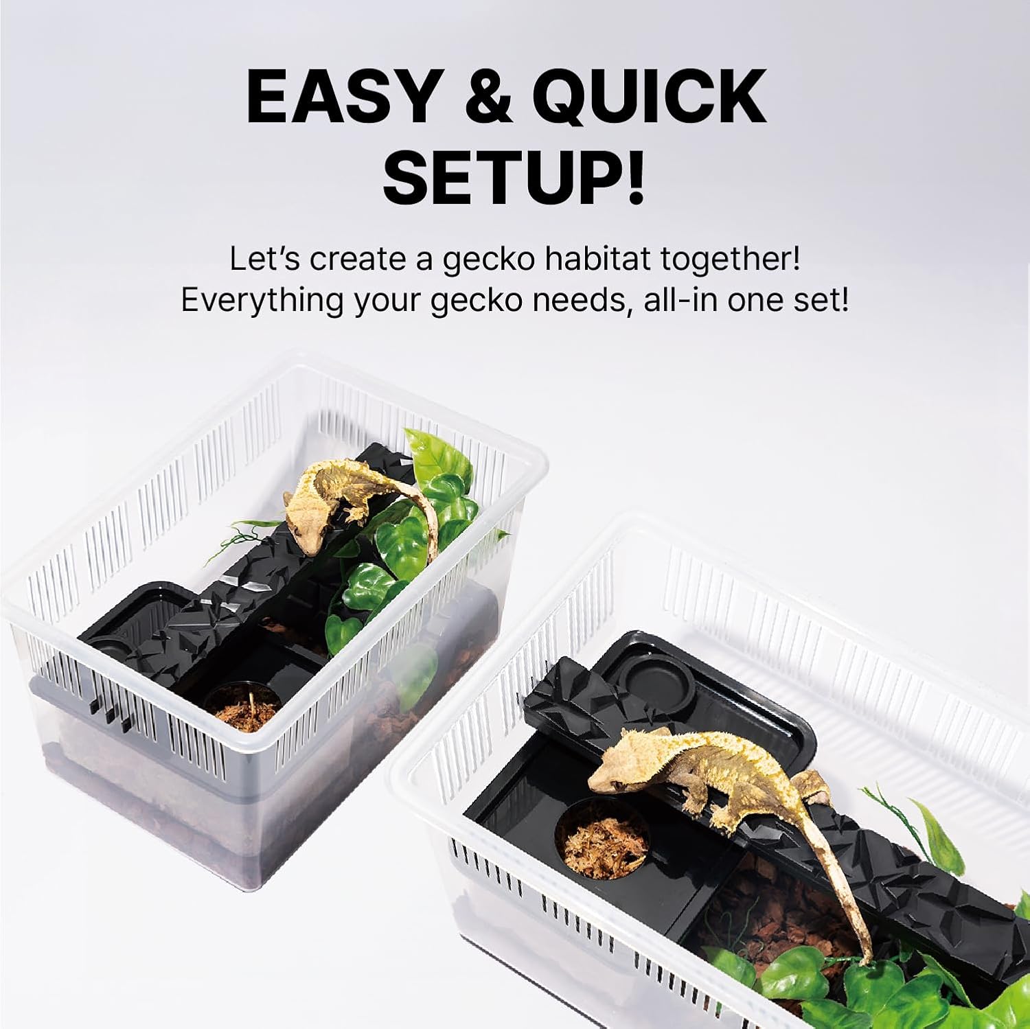 Gecko Habitat Kit - 3.5 Gallon Reptile Terrarium with Ventilated Lid, Gecko Tank with Humidity Hide, Reptiles Ledge, Feeding Dish - Stackable Lizard Terrarium for Geckos, Amphibians, Small Animals
