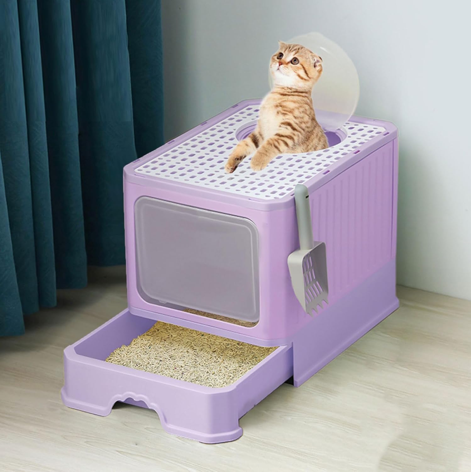 美品 江戸初期1600年頃 額装◇狩野派 狩野永徳 狩野尚信『梅に鳥』扇