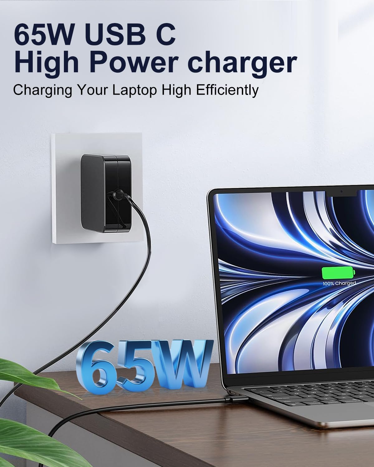 SCOVEE 65W USB C Caricabatterie,USB C Laptop Caricabatterie Per Mac Book Pro/Air,Lenovo Thinkpad Yoga,Huawei MateBook,HP ChromeBook,ASUS ZenBook,DDR4, 512GB SSD,Porte di Ricarica Type-C